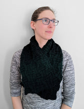 Load image into Gallery viewer, Adult Checkerboard Scarf
