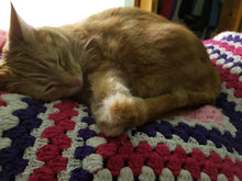 Load image into Gallery viewer, Crochet Blanket (36" square)